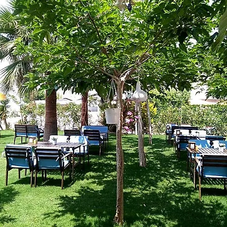 Palmiye Hotel *