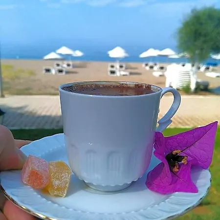 Hotel Palmiye