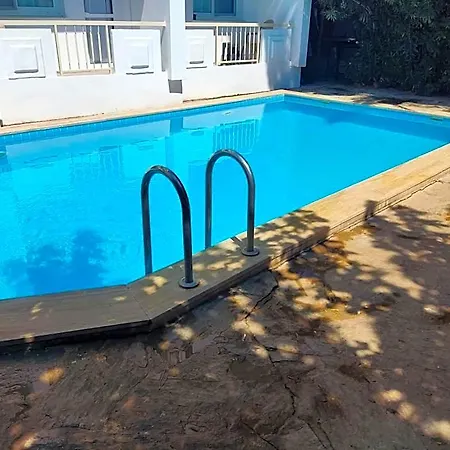 Palmiye * Özdere