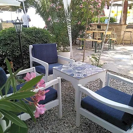 Palmiye Özdere