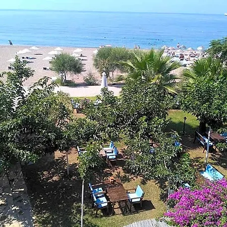 Palmiye