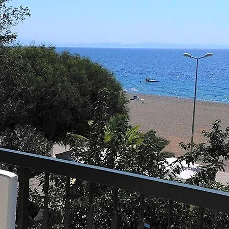 Palmiye * Özdere