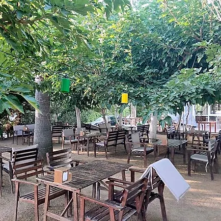 Palmiye Szálloda Özdere