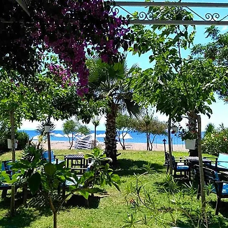 Palmiye Hotel Özdere